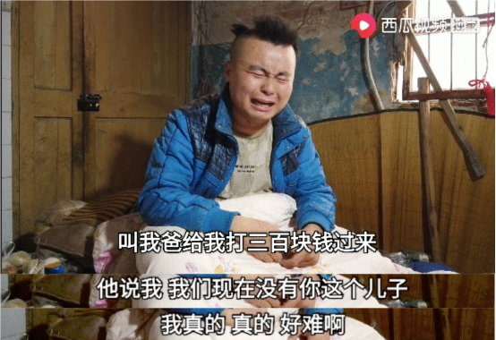 ���Ⱥ�ݸ�������Ƶ�������������Ƶ����Ư���������ײ��׵����ӡ���