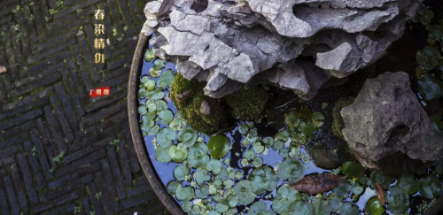 丁珊珊《春染情愁》上线 走心佳作触及灵魂