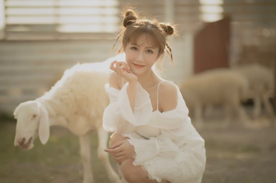 ����Ҫ�Ź�������ޱ����������������¸衶���ᡷ����