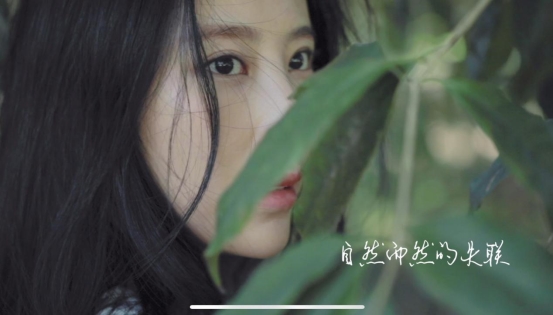 ��������֧���������桷ȫ���׷� �������԰���ȫ�¸���