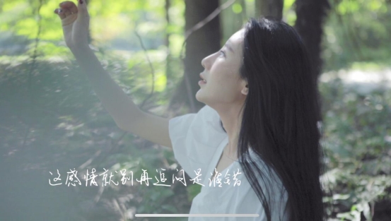 ��������֧���������桷ȫ���׷� �������԰���ȫ�¸���