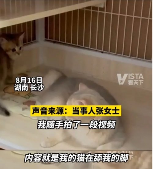 版权方和主播处境“两难”:8亿人看短视频、6亿人看直播!但音乐侵权频发,授权确权流程繁杂