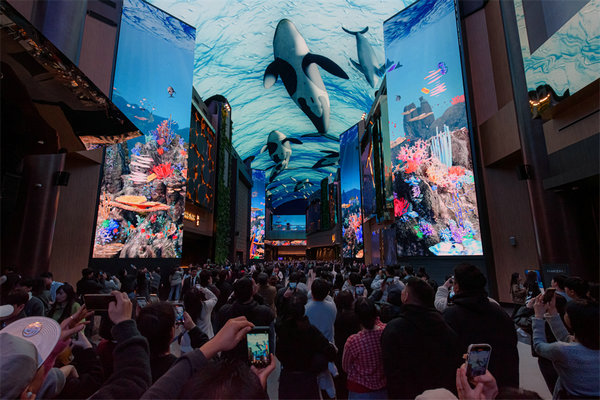 迎仕柏综艺馆为魔力红乐队和乐迷提供顶尖舞台 为迎仕柏度假城开幕锦上添花